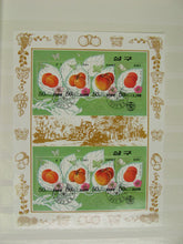 Charger l'image dans la galerie, L'Europe ne complète presque que des phrases toutes différentes avec de meilleures valeurs