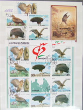 Charger l'image dans la galerie, L'Europe ne complète presque que des phrases toutes différentes avec de meilleures valeurs