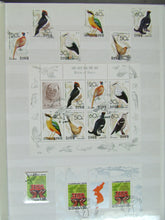 Charger l'image dans la galerie, L'Europe ne complète presque que des phrases toutes différentes avec de meilleures valeurs