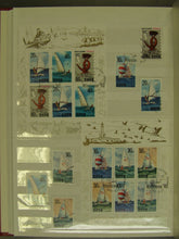 Charger l'image dans la galerie, L'Europe ne complète presque que des phrases toutes différentes avec de meilleures valeurs