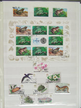 Charger l'image dans la galerie, L'Europe ne complète presque que des phrases toutes différentes avec de meilleures valeurs