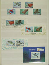 Charger l'image dans la galerie, L'Europe ne complète presque que des phrases toutes différentes avec de meilleures valeurs