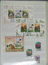 Charger l'image dans la galerie, L'Europe ne complète presque que des phrases toutes différentes avec de meilleures valeurs