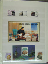 Charger l'image dans la galerie, L'Europe ne complète presque que des phrases toutes différentes avec de meilleures valeurs