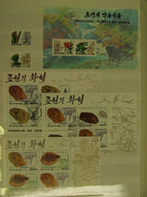 Charger l'image dans la galerie, L'Europe ne complète presque que des phrases toutes différentes avec de meilleures valeurs