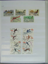 Charger l'image dans la galerie, L'Europe ne complète presque que des phrases toutes différentes avec de meilleures valeurs