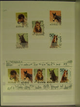 Charger l'image dans la galerie, L'Europe ne complète presque que des phrases toutes différentes avec de meilleures valeurs