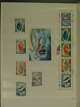 Charger l'image dans la galerie, L'Europe ne complète presque que des phrases toutes différentes avec de meilleures valeurs