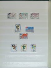 Charger l'image dans la galerie, L'Europe ne complète presque que des phrases toutes différentes avec de meilleures valeurs