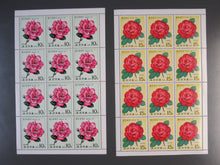 Charger l'image dans la galerie, L'Europe ne complète presque que des phrases toutes différentes avec de meilleures valeurs