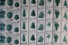 Charger l'image dans la galerie, Rumänien - Satzware per 5 ** 1500 € Michelwert