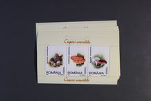 Charger l'image dans la galerie, Rumänien Blöcke und Kleinbögen per 10 ** Michelwert online Katalog 2021 ca. 1398,00 siehe Aufstellung - sehr seltene Ausgaben teils nur 7000 Stück laut Michel online Katalog existent