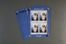 Charger l'image dans la galerie, Rumänien Blöcke und Kleinbögen per 10 ** Michelwert online Katalog 2021 ca. 1398,00 siehe Aufstellung - sehr seltene Ausgaben teils nur 7000 Stück laut Michel online Katalog existent