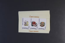 Charger l'image dans la galerie, Rumänien Blöcke und Kleinbögen per 10 ** Michelwert online Katalog 2021 ca. 1398,00 siehe Aufstellung - sehr seltene Ausgaben teils nur 7000 Stück laut Michel online Katalog existent