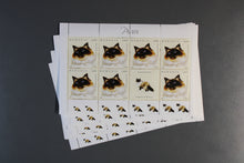 Charger l'image dans la galerie, Rumänien Blöcke und Kleinbögen per 10 ** Michelwert online Katalog 2021 ca. 1398,00 siehe Aufstellung - sehr seltene Ausgaben teils nur 7000 Stück laut Michel online Katalog existent