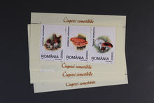 Charger l'image dans la galerie, Rumänien Blöcke und Kleinbögen per 5 ** Michelwert online Katalig 2021 ca. 1500,00