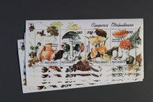 Charger l'image dans la galerie, Rumänien Blöcke und Kleinbögen per 5 ** Michelwert online Katalig 2021 ca. 1500,00