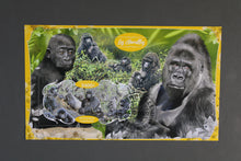 Charger l'image dans la galerie, 69 verschiedene Blöcke Wildtiere gestempelt