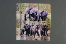 Charger l'image dans la galerie, 69 verschiedene Blöcke Wildtiere gestempelt