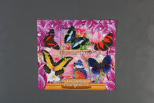 Charger l'image dans la galerie, 79 verschiedene Blöcke Schmetterlinge gestempelt