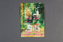 Charger l'image dans la galerie, 47 verschiedene Blöcke Pilze gestemepelt