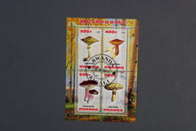 Charger l'image dans la galerie, 47 verschiedene Blöcke Pilze gestemepelt