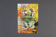 Charger l'image dans la galerie, 47 verschiedene Blöcke Pilze gestemepelt