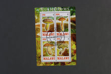 Charger l'image dans la galerie, 47 verschiedene Blöcke Pilze gestemepelt