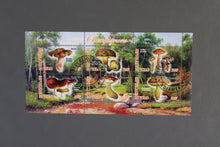 Charger l'image dans la galerie, 47 verschiedene Blöcke Pilze gestemepelt