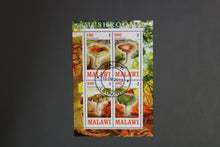 Charger l'image dans la galerie, 47 verschiedene Blöcke Pilze gestemepelt