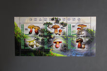 Charger l'image dans la galerie, 47 verschiedene Blöcke Pilze gestemepelt