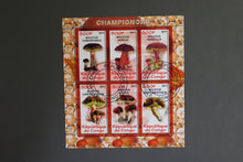 Charger l'image dans la galerie, 47 verschiedene Blöcke Pilze gestemepelt