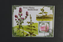 Load image into Gallery viewer, Europe almost only complete sentences all different with better values