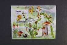 Load image into Gallery viewer, Europe almost only complete sentences all different with better values