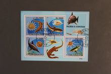 Load image into Gallery viewer, Europe almost only complete sentences all different with better values