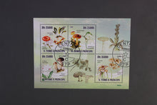 Load image into Gallery viewer, Europe almost only complete sentences all different with better values