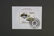 Load image into Gallery viewer, Europe almost only complete sentences all different with better values