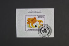 Load image into Gallery viewer, Europe almost only complete sentences all different with better values