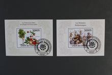 Load image into Gallery viewer, Europe almost only complete sentences all different with better values