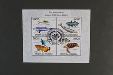 Load image into Gallery viewer, Europe almost only complete sentences all different with better values