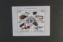 Load image into Gallery viewer, Europe almost only complete sentences all different with better values