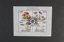 Load image into Gallery viewer, Europe almost only complete sentences all different with better values