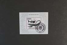 Load image into Gallery viewer, Europe almost only complete sentences all different with better values