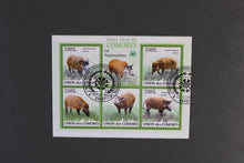 Load image into Gallery viewer, Europe almost only complete sentences all different with better values