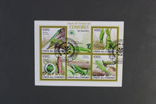 Load image into Gallery viewer, Europe almost only complete sentences all different with better values