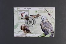 Load image into Gallery viewer, Europe almost only complete sentences all different with better values