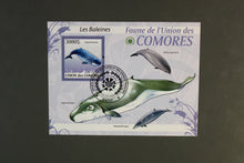 Load image into Gallery viewer, Europe almost only complete sentences all different with better values