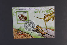 Load image into Gallery viewer, Europe almost only complete sentences all different with better values