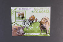 Load image into Gallery viewer, Europe almost only complete sentences all different with better values