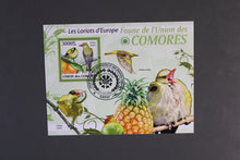 Load image into Gallery viewer, Europe almost only complete sentences all different with better values